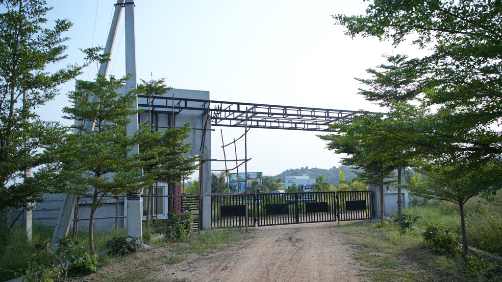 rg-1